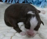 processed/d5d73fbf-a9b3-4b51-a8de-491caa86f1d3/listing/5796aa66-b02f-45c7-8e03-fd139323ff08/bd305512-9171-4339-9d77-a43c92cebbea