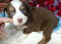 processed/d5d73fbf-a9b3-4b51-a8de-491caa86f1d3/listing/5796aa66-b02f-45c7-8e03-fd139323ff08/c2484660-e56e-476c-92a3-b07844cb4413