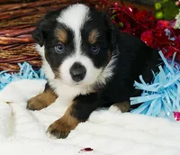 processed/d5d73fbf-a9b3-4b51-a8de-491caa86f1d3/listing/5a33638c-5962-41c3-a477-f5552447280a/ef8a7aa0-9dc4-47b5-9232-d0158d1f95a5