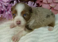 processed/d5d73fbf-a9b3-4b51-a8de-491caa86f1d3/listing/8f68f30c-8451-4094-9a0f-8edcdc9486d1/dee8a3f1-4f33-475a-b7f8-574350e273d2