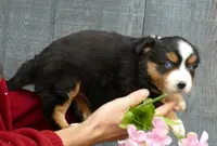 processed/d5d73fbf-a9b3-4b51-a8de-491caa86f1d3/listing/b7f8026f-2213-443b-9a99-166927755d54/1abcc624-1e22-4254-91e8-163745abcc3c