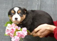 processed/d5d73fbf-a9b3-4b51-a8de-491caa86f1d3/listing/b7f8026f-2213-443b-9a99-166927755d54/73dbaf87-931f-491c-aa43-c248a38f12ce