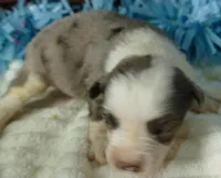 processed/d5d73fbf-a9b3-4b51-a8de-491caa86f1d3/listing/fdc9a45b-13d4-43cd-9acd-f0b0a1a8556f/1c2850df-95b6-4700-8e5f-43c16a485e23