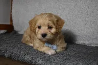 processed/d5d8a346-074d-48c0-a27d-ebdd4bd21b46/listing/27702da2-f6bf-49d4-9d27-d467f2c378ad/b32e8719-c0e3-4542-a0e7-7ae371f5e43d