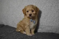 processed/d5d8a346-074d-48c0-a27d-ebdd4bd21b46/listing/27702da2-f6bf-49d4-9d27-d467f2c378ad/f773a746-3f4a-4223-90fc-3cca2fd4edcc