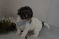 processed/d5d8a346-074d-48c0-a27d-ebdd4bd21b46/listing/3ad13c44-a481-4f37-acc9-28ec8b8af514/783dd13b-608c-4c13-96a3-cd3dac1a6b1a