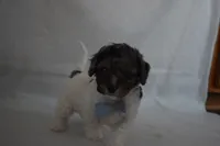 processed/d5d8a346-074d-48c0-a27d-ebdd4bd21b46/listing/3ad13c44-a481-4f37-acc9-28ec8b8af514/ba9cf08a-3218-4a30-b432-280471dd8407