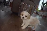 processed/d5d8a346-074d-48c0-a27d-ebdd4bd21b46/listing/774dbe67-dff1-463f-b0c0-11a2226bd8e3/763532f0-e0aa-4612-882b-d15d1c044a84