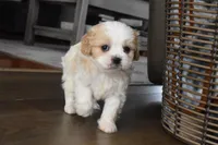 processed/d5d8a346-074d-48c0-a27d-ebdd4bd21b46/listing/774dbe67-dff1-463f-b0c0-11a2226bd8e3/af926cb0-4f48-421d-8816-b1cd4aa16ee5