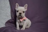 processed/d5d8a346-074d-48c0-a27d-ebdd4bd21b46/listing/975c79b1-0e9c-48e2-b0e1-87ac205904b4/1972f55c-6039-4e37-9c08-2a7448a99dc2