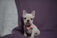 processed/d5d8a346-074d-48c0-a27d-ebdd4bd21b46/listing/975c79b1-0e9c-48e2-b0e1-87ac205904b4/c8a4b83e-714e-490c-9c2c-ffc87689daee