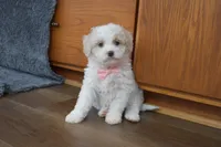 processed/d5d8a346-074d-48c0-a27d-ebdd4bd21b46/listing/9fcd89ec-36df-4a65-9404-bfe6e3cee25b/00e03211-79f4-4fb7-8a65-7384a84fea11