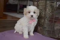 processed/d5d8a346-074d-48c0-a27d-ebdd4bd21b46/listing/9fcd89ec-36df-4a65-9404-bfe6e3cee25b/4be10e55-106a-4f76-8082-27b5c3dbe74c