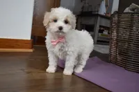 processed/d5d8a346-074d-48c0-a27d-ebdd4bd21b46/listing/9fcd89ec-36df-4a65-9404-bfe6e3cee25b/a4e5f220-646f-4c2f-8e04-69c8d10b85cf