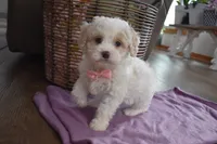 processed/d5d8a346-074d-48c0-a27d-ebdd4bd21b46/listing/9fcd89ec-36df-4a65-9404-bfe6e3cee25b/c69a5770-d3d7-453e-a2f1-92a2588b9afa