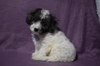 processed/d5d8a346-074d-48c0-a27d-ebdd4bd21b46/listing/d397bc6c-5a2d-42e6-9b44-c6a6abc44d65/00c7dfa8-e8b4-489e-b664-030a482eb7f7