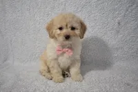 processed/d5d8a346-074d-48c0-a27d-ebdd4bd21b46/listing/e1496e05-1049-46b9-b657-62ba3e20b891/0b6fa723-154f-4187-ab9d-97939d40588e