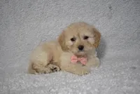 processed/d5d8a346-074d-48c0-a27d-ebdd4bd21b46/listing/e1496e05-1049-46b9-b657-62ba3e20b891/a802c20b-f699-4c74-9363-db88a23a0798