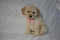 processed/d5d8a346-074d-48c0-a27d-ebdd4bd21b46/listing/e1496e05-1049-46b9-b657-62ba3e20b891/b491e35c-3fd9-4ed6-b75a-dd43c25c1a90