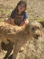 processed/d5d92010-05d2-4c08-b777-89b8592ba863/facility/fd79ed15-81ea-44c8-bcea-8059f8ff1451