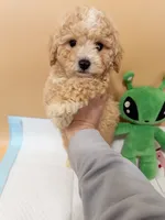 processed/d5dc0ec7-953f-43e8-aed2-e49cd4931221/listing/b34849a2-a85f-47d5-bb76-33f3bb549e76/35460eaf-f56a-4c54-8ab3-0e47ac418862