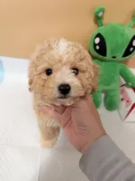 processed/d5dc0ec7-953f-43e8-aed2-e49cd4931221/listing/b34849a2-a85f-47d5-bb76-33f3bb549e76/56133b06-0d6a-405b-b673-d65e409bc329