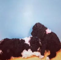 processed/d5ded24b-afbf-4d7d-aa99-7da27c6f4448/facility/cc763a09-a957-4667-b0ad-1fe240e75e08