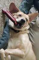 processed/d5e384c8-4009-4678-9fef-9ba757f9a108/listing/282aea78-6eee-483e-940f-24e137800aa0/1bd36b92-f522-4227-882e-a873c95db3bf