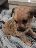 processed/d5e384c8-4009-4678-9fef-9ba757f9a108/listing/282aea78-6eee-483e-940f-24e137800aa0/1e6004f6-cd17-4826-8270-8ed62229d2b6