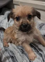 processed/d5e384c8-4009-4678-9fef-9ba757f9a108/listing/282aea78-6eee-483e-940f-24e137800aa0/965ca99a-e7b4-4011-b58c-a3fc0e9c8c20