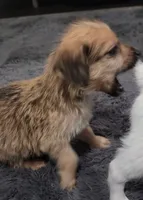 processed/d5e384c8-4009-4678-9fef-9ba757f9a108/listing/282aea78-6eee-483e-940f-24e137800aa0/9b08c0b1-ab8b-448b-9acc-7bc5cc630368