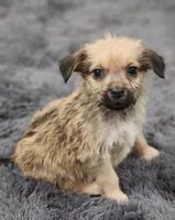 processed/d5e384c8-4009-4678-9fef-9ba757f9a108/listing/282aea78-6eee-483e-940f-24e137800aa0/f5936a09-931a-4cad-90a5-a539a5539c95