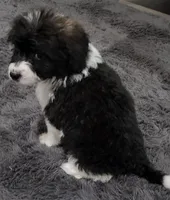 processed/d5e384c8-4009-4678-9fef-9ba757f9a108/listing/8ed255bd-fd89-4795-a878-a58598bc21f5/504c3760-ccc5-4ea9-9b46-b78178cf092f