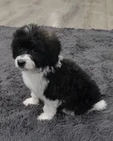 processed/d5e384c8-4009-4678-9fef-9ba757f9a108/listing/8ed255bd-fd89-4795-a878-a58598bc21f5/e7df2dc1-c3d0-438a-8dac-260c612a3874