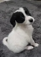 processed/d5e384c8-4009-4678-9fef-9ba757f9a108/listing/eb748a33-1114-4207-9855-696dd1838551/526ef511-0a02-44e0-8d54-f7922dbb914f