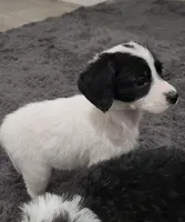 processed/d5e384c8-4009-4678-9fef-9ba757f9a108/listing/eb748a33-1114-4207-9855-696dd1838551/cda242e4-345c-4d5d-b196-ca8d1c22eeab