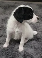 processed/d5e384c8-4009-4678-9fef-9ba757f9a108/listing/eb748a33-1114-4207-9855-696dd1838551/d5c07a78-f319-49f1-b8be-394808f252fe