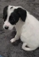 processed/d5e384c8-4009-4678-9fef-9ba757f9a108/listing/eb748a33-1114-4207-9855-696dd1838551/e1b917a5-4182-4f15-845a-02886108e40b