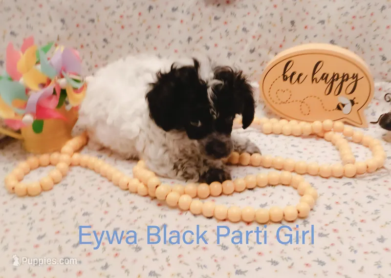 Eywa Tiny Toy