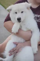 processed/d5ef2f01-700e-45fa-94e8-2add9b57308a/listing/4e72a7e2-0c48-43cb-9213-85a5e6a5b857/54baaf0e-63d5-463a-9932-9e11eb46e60d