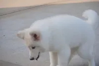 processed/d5ef2f01-700e-45fa-94e8-2add9b57308a/listing/4e72a7e2-0c48-43cb-9213-85a5e6a5b857/6f36d567-fb79-45fe-8f1b-92bbbd485829