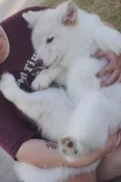 processed/d5ef2f01-700e-45fa-94e8-2add9b57308a/listing/4e72a7e2-0c48-43cb-9213-85a5e6a5b857/ced6f99b-b654-4749-a080-ac12154f54d8