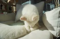 processed/d5ef2f01-700e-45fa-94e8-2add9b57308a/listing/533bee50-cb3e-4df4-83ac-b25393cd65b6/0b445d8e-ac17-4cf4-869e-46e4b871e73e