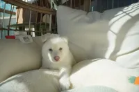 processed/d5ef2f01-700e-45fa-94e8-2add9b57308a/listing/533bee50-cb3e-4df4-83ac-b25393cd65b6/7bf0b65a-7da9-4dbe-b31f-c91fa53fd85f