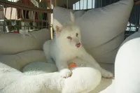 processed/d5ef2f01-700e-45fa-94e8-2add9b57308a/listing/533bee50-cb3e-4df4-83ac-b25393cd65b6/9f394e23-40e5-4c79-9dc3-418d30b64225