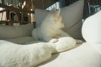 processed/d5ef2f01-700e-45fa-94e8-2add9b57308a/listing/533bee50-cb3e-4df4-83ac-b25393cd65b6/aa05d39e-a15e-417b-a8d8-397a695e7948