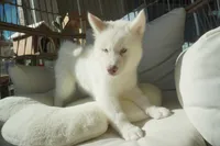 processed/d5ef2f01-700e-45fa-94e8-2add9b57308a/listing/533bee50-cb3e-4df4-83ac-b25393cd65b6/b627e95e-4455-43d9-abe2-918f06aa3444