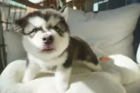 processed/d5ef2f01-700e-45fa-94e8-2add9b57308a/listing/59c52672-20f0-457c-bafa-1c71cc848809/0a541617-58fc-49ca-a9db-6a6cf57130ca