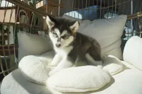 processed/d5ef2f01-700e-45fa-94e8-2add9b57308a/listing/59c52672-20f0-457c-bafa-1c71cc848809/1c4df49d-1d51-415d-8144-05edac5df1af