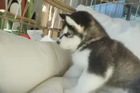 processed/d5ef2f01-700e-45fa-94e8-2add9b57308a/listing/59c52672-20f0-457c-bafa-1c71cc848809/5d3fd205-9dca-4b93-85fc-1bfc5e5fc8f3